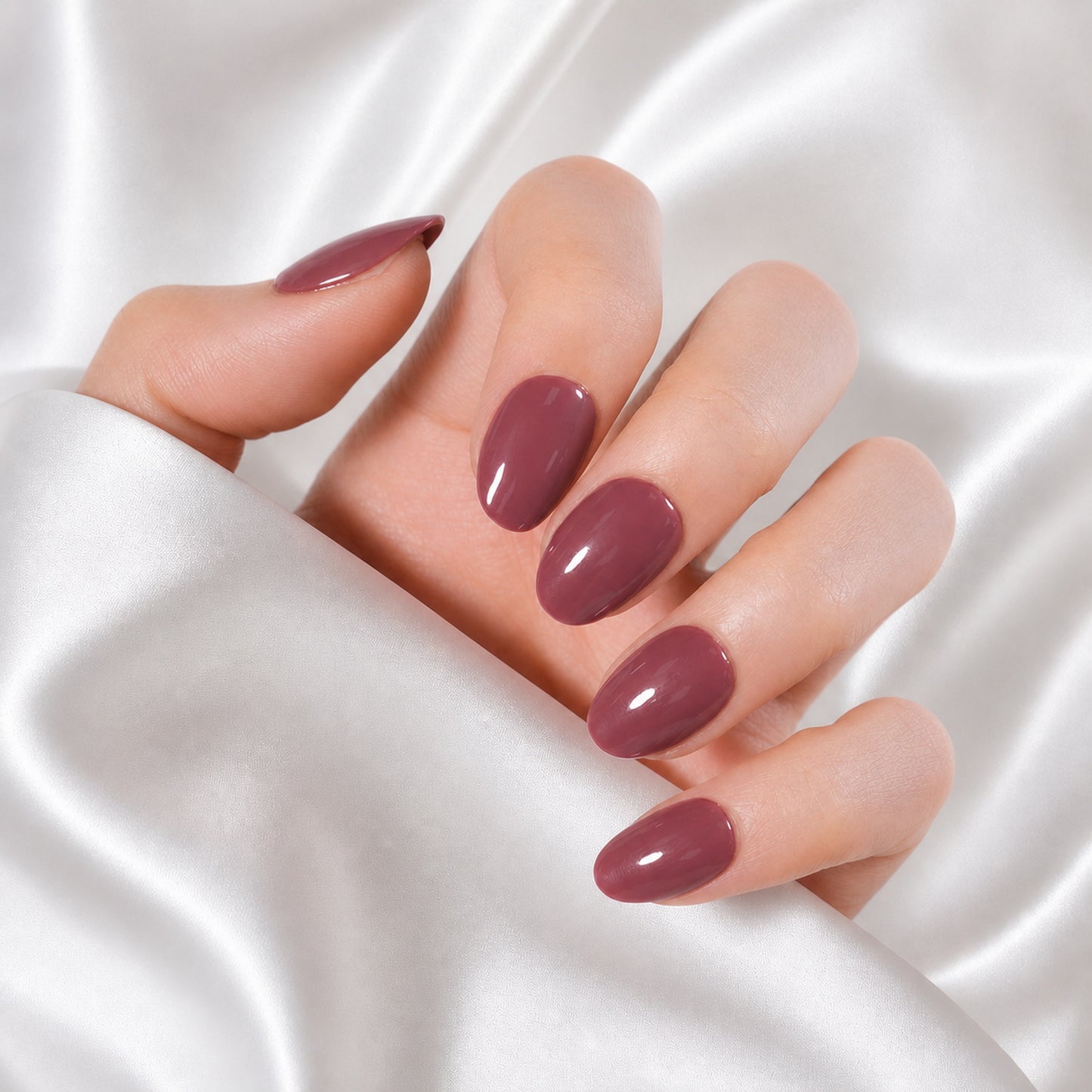 Mocha Muse